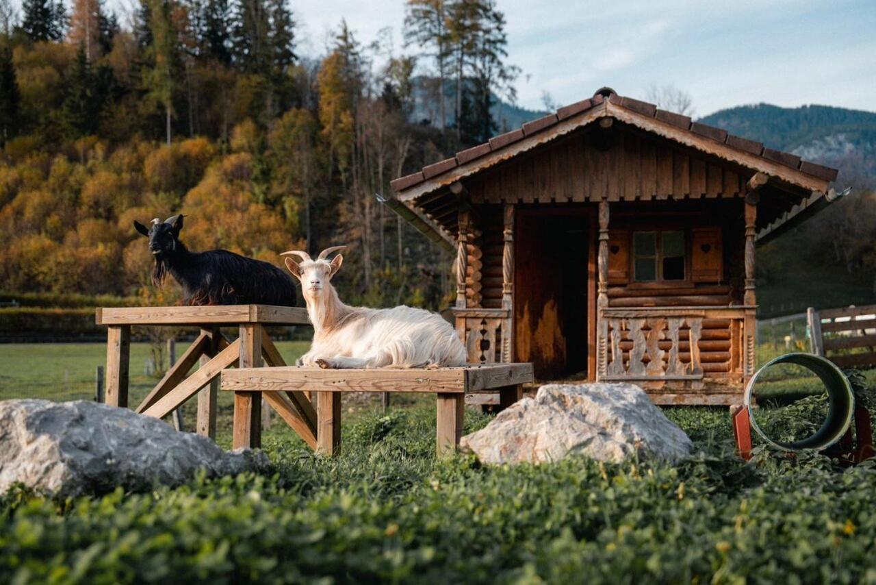 Glitschnerhof 2* Aigen im Ennstal